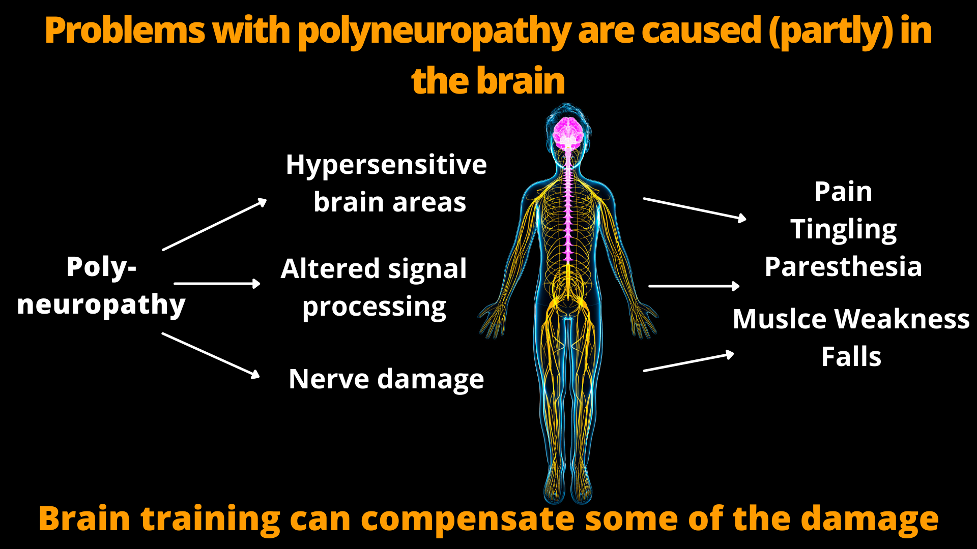 Training the nervous system can compensate for problems with polyneuropathy